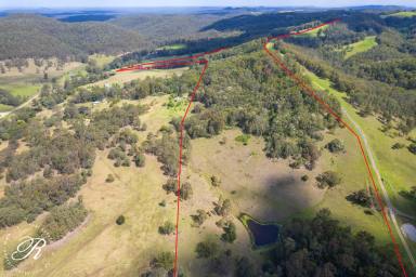 Other (Rural) For Sale - NSW - Booral - 2425 - 100 Acres of Rural Lifestyle and Agricultural Potential  (Image 2)