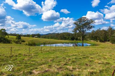 Other (Rural) For Sale - NSW - Booral - 2425 - 100 Acres of Rural Lifestyle and Agricultural Potential  (Image 2)