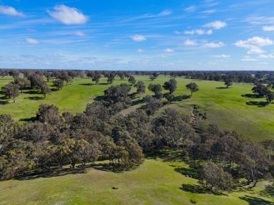 Mixed Farming For Sale - VIC - Nareen - 3315 - Expressions of Interest. Closing Friday November 15th at 1 pm. 1747.98 Ac - 707.38 Ha across 3 non-contingent lots  (Image 2)