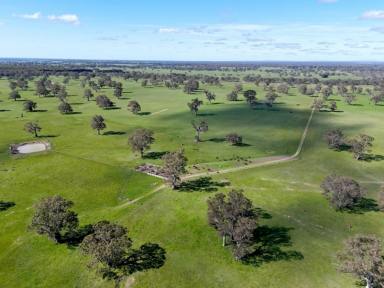 Mixed Farming For Sale - VIC - Chetwynd - 3312 - Expressions of Interest. Closing Friday November 15th at 1 pm. 1747.98 Ac - 707.38 Ha across 3 non-contingent lots  (Image 2)