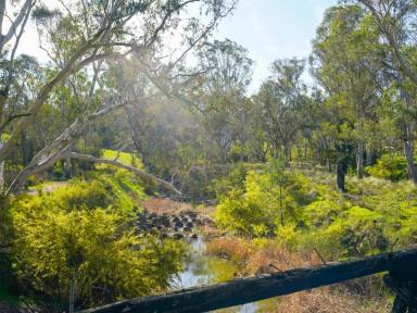 Mixed Farming For Sale - VIC - Nareen - 3315 - Expressions of Interest. Closing Friday November 15th at 1 pm. 1747.98 Ac - 707.38 Ha across 3 non-contingent lots  (Image 2)