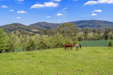 Lifestyle Sold - NSW - Gloucester - 2422 - Your Dream Lifestyle Awaits: 10.72 Acres of Rural Bliss  (Image 2)