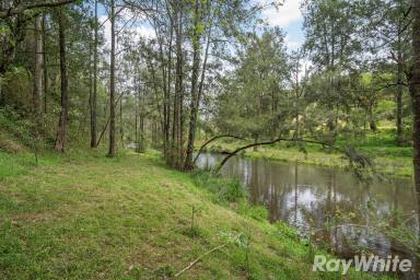 Lifestyle Sold - NSW - Gloucester - 2422 - 'BIRABAN' Manning River Grazing or Tree Change: Your Ideal Lifestyle Property  (Image 2)