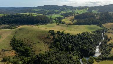 Mixed Farming Sold - NSW - Megan - 2453 - 'Tullamore', Dorrigo  (Image 2)