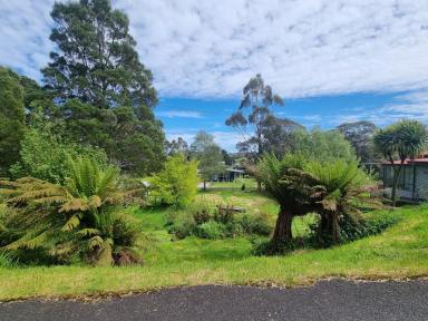 Residential Block For Sale - TAS - Strahan - 7468 - Prime 1029m² Block of Land in Scenic Strahan  (Image 2)