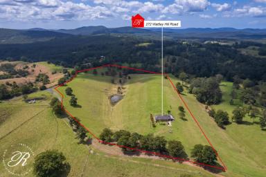 Acreage/Semi-rural For Sale - NSW - Wootton - 2423 - 272 Wattley Hill Road, Wootton  (Image 2)