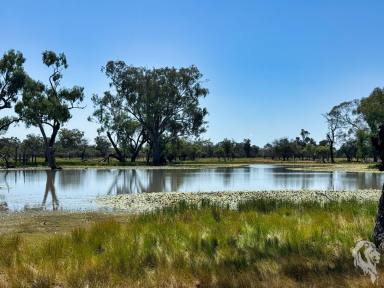 Other (Rural) For Sale - NSW - Wee Waa - 2388 - "WIRRAH STATION" - GRAZING / HUNTING / LIFESTYLE PROPERTY  (Image 2)