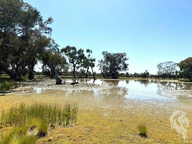 Other (Rural) For Sale - NSW - Wee Waa - 2388 - "WIRRAH STATION" - GRAZING / HUNTING / LIFESTYLE PROPERTY  (Image 2)