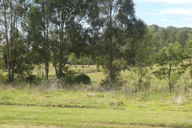 Residential Block Sold - NSW - Tabulam - 2469 - THE PERFECT BLOCK  (Image 2)