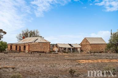 Cropping For Sale - SA - Sandleton - 5356 - Your new rural opportunity awaits….  (Image 2)