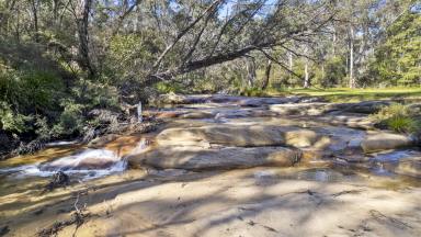 Acreage/Semi-rural For Sale - NSW - Hartley Vale - 2790 - "The Willows" – A 221-Acre Rural Sanctuary with Endless Possibilities  (Image 2)