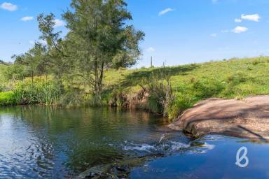 Other (Rural) For Sale - NSW - Glendon Brook - 2330 - AUCTION CANCELLED, SOLD PRIOR TO AUCTION - "EMERALD PARK" | BEAUTIFUL CREEK SETTING | POTENTIAL PLUS  (Image 2)