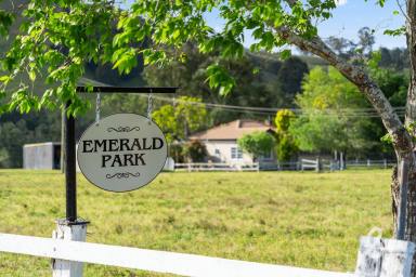 Other (Rural) Sold - NSW - Glendon Brook - 2330 - "EMERALD PARK" | BEAUTIFUL CREEK SETTING | POTENTIAL PLUS  (Image 2)