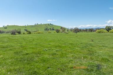 Residential Block Auction - VIC - Cudgewa - 3705 - RURAL LIVING BLOCK NOW AVAILABLE  (Image 2)