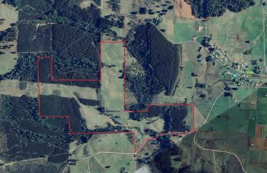 Mixed Farming Sold - TAS - Roland - 7306 - Productive Acreage, Mixed Farming Options, Expansive Views - Under Contract  (Image 2)