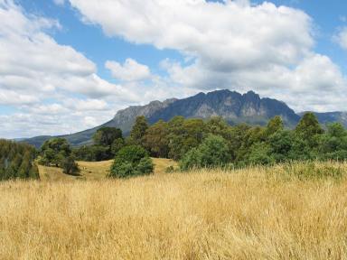 Mixed Farming Sold - TAS - Roland - 7306 - Productive Acreage, Mixed Farming Options, Expansive Views - Under Contract  (Image 2)