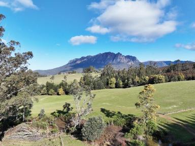 Mixed Farming For Sale - TAS - Roland - 7306 - Productive Acreage, Mixed Farming Options, Expansive Views  (Image 2)