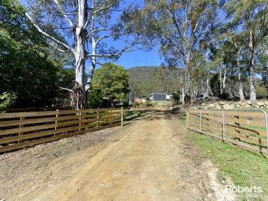 House For Sale - TAS - Collinsvale - 7012 - Secluded Family Retreat on 3.19 Hectares  (Image 2)