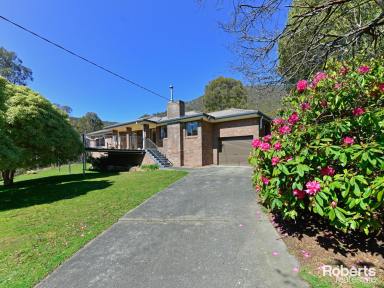 House For Sale - TAS - Collinsvale - 7012 - Secluded Family Retreat on 3.19 Hectares  (Image 2)