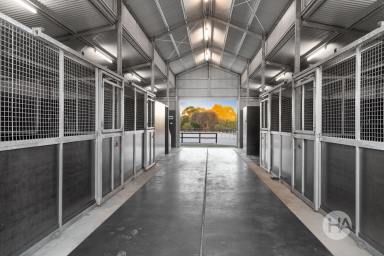 Acreage/Semi-rural Sold - VIC - Balnarring - 3926 - Luxury Living & Equestrian Excellence in the Heart of the Peninsula  (Image 2)