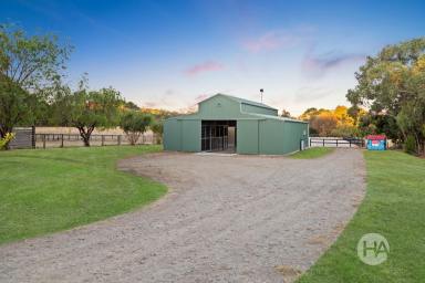 Acreage/Semi-rural Sold - VIC - Balnarring - 3926 - Luxury Living & Equestrian Excellence in the Heart of the Peninsula  (Image 2)