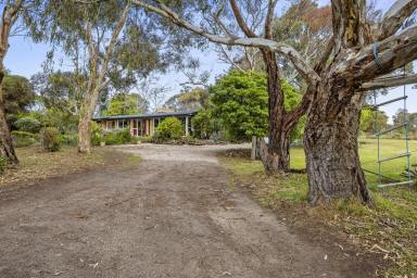 Lifestyle For Sale - VIC - Curlewis - 3222 - "Coorumbene" on the Bellarine Peninsula  (Image 2)