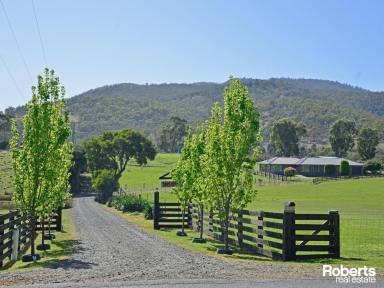 Acreage/Semi-rural For Sale - TAS - Malbina - 7140 - Lifestyle Property in Picturesque Derwent Valley  (Image 2)