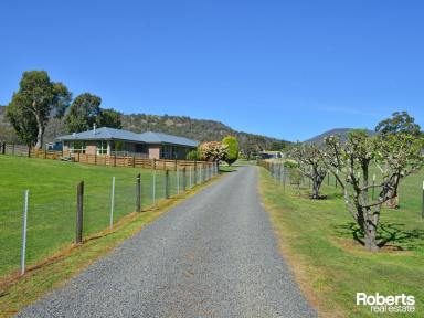 Acreage/Semi-rural For Sale - TAS - Malbina - 7140 - Lifestyle Property in Picturesque Derwent Valley  (Image 2)