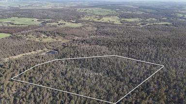 Residential Block For Sale - VIC - Scotsburn - 3352 - Escape to your own bush hideaway!  (Image 2)