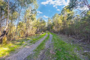 Residential Block For Sale - VIC - Scotsburn - 3352 - Escape to your own bush hideaway!  (Image 2)