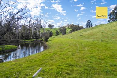 House For Sale - WA - Nannup - 6275 - 17 ACRES ON THE NANNUP BROOK  (Image 2)