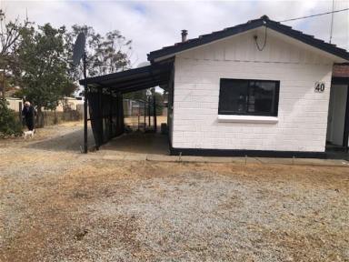 Other (Rural) Sold - WA - Trayning - 6488 - Property for Sale - 40 Coronation Street, Trayning  (Image 2)