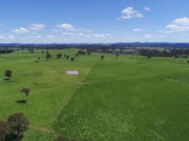 Livestock For Sale - NSW - Walcha - 2354 - One of the New England's Finest Agricultural Assets  (Image 2)