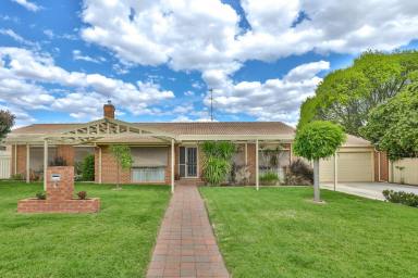 House For Sale - VIC - Mildura - 3500 - IDEAL FAMILY HOME  (Image 2)