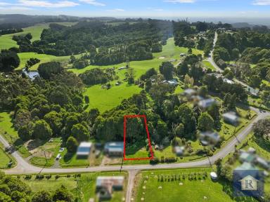 Residential Block For Sale - VIC - Beech Forest - 3237 - Tranquil Gully Retreat in Beech Forest…  (Image 2)