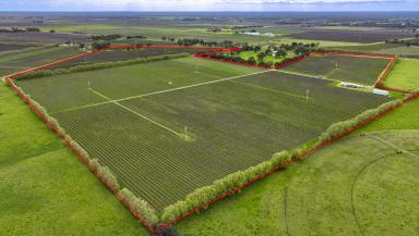 Viticulture For Sale - SA - Penola - 5277 - Premium Coonawarra Vineyard  (Image 2)