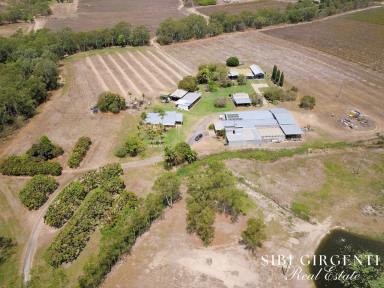 Mixed Farming For Sale - QLD - Dimbulah - 4872 - OPPORTUNITY TO EMBRACE A RURAL LIFESTYLE WHILE GENERATING INCOME  (Image 2)