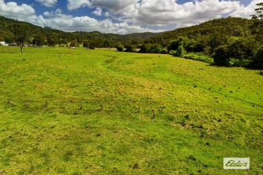 Residential Block For Sale - NSW - Marlee - 2429 - MAGNIFICENT EASY ACCESS ACRES WITH LONG CREEK FRONTAGE  (Image 2)