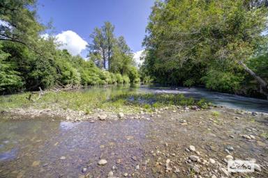 Acreage/Semi-rural For Sale - NSW - Marlee - 2429 - 100 ACRES WITH CREEK 10 MINS FROM TOWN BY TAR ROAD  (Image 2)