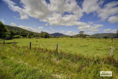 Residential Block For Sale - NSW - Marlee - 2429 - MAGNIFICENT EASY ACCESS ACRES WITH LONG CREEK FRONTAGE  (Image 2)