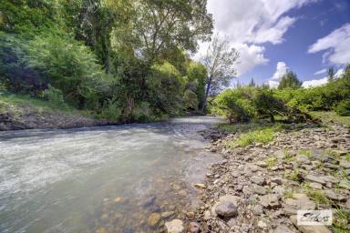 Residential Block For Sale - NSW - Marlee - 2429 - MAGNIFICENT EASY ACCESS ACRES WITH LONG CREEK FRONTAGE  (Image 2)