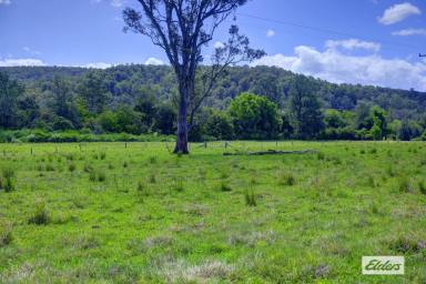 Residential Block For Sale - NSW - Marlee - 2429 - MAGNIFICENT EASY ACCESS ACRES WITH LONG CREEK FRONTAGE  (Image 2)