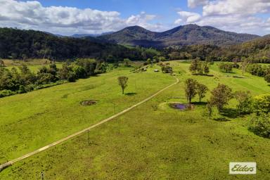 Residential Block For Sale - NSW - Marlee - 2429 - MAGNIFICENT EASY ACCESS ACRES WITH LONG CREEK FRONTAGE  (Image 2)