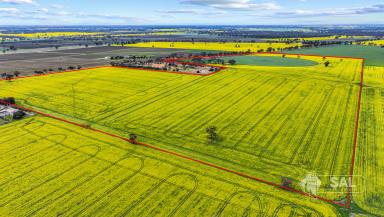 Mixed Farming For Sale - SA - Mundulla - 5270 - Lawsons Hill  (Image 2)