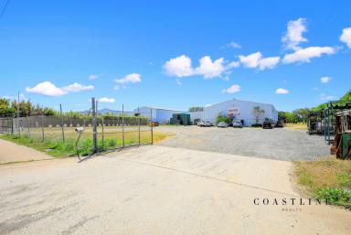 Industrial/Warehouse For Sale - QLD - Bundaberg North - 4670 - Large Industrial Shed on a Large Parcel of Land  (Image 2)