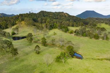 House For Sale - QLD - Belli Park - 4562 - Stunning Country Estate on 62 Acres  (Image 2)