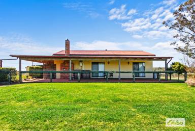 Other (Rural) For Sale - VIC - Stradbroke - 3851 - "Springbank" …. Picturesque valley setting  (Image 2)