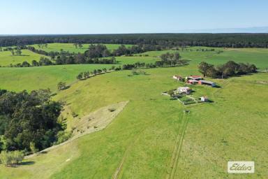 Other (Rural) For Sale - VIC - Stradbroke - 3851 - "Springbank" …. Picturesque valley setting  (Image 2)