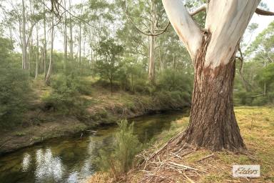 Other (Rural) For Sale - VIC - Stradbroke - 3851 - "Springbank" …. Picturesque valley setting (Image 2)