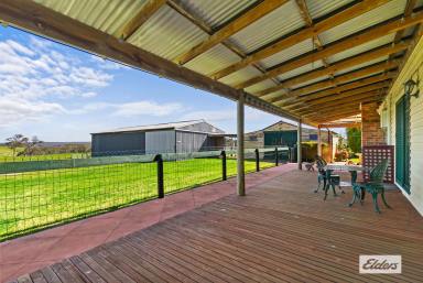 Other (Rural) For Sale - VIC - Stradbroke - 3851 - "Springbank" …. Picturesque valley setting  (Image 2)